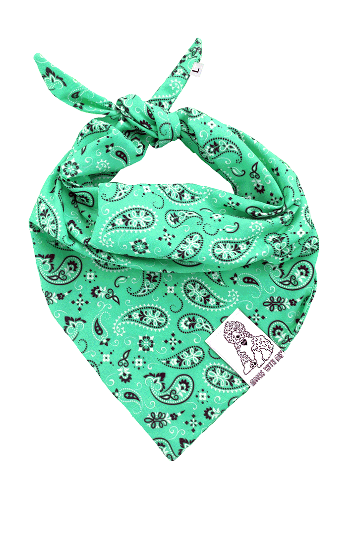Dog Bandana Paisley - Jade - Customize by adding Interchangeable Velcro Embroidered Patches
