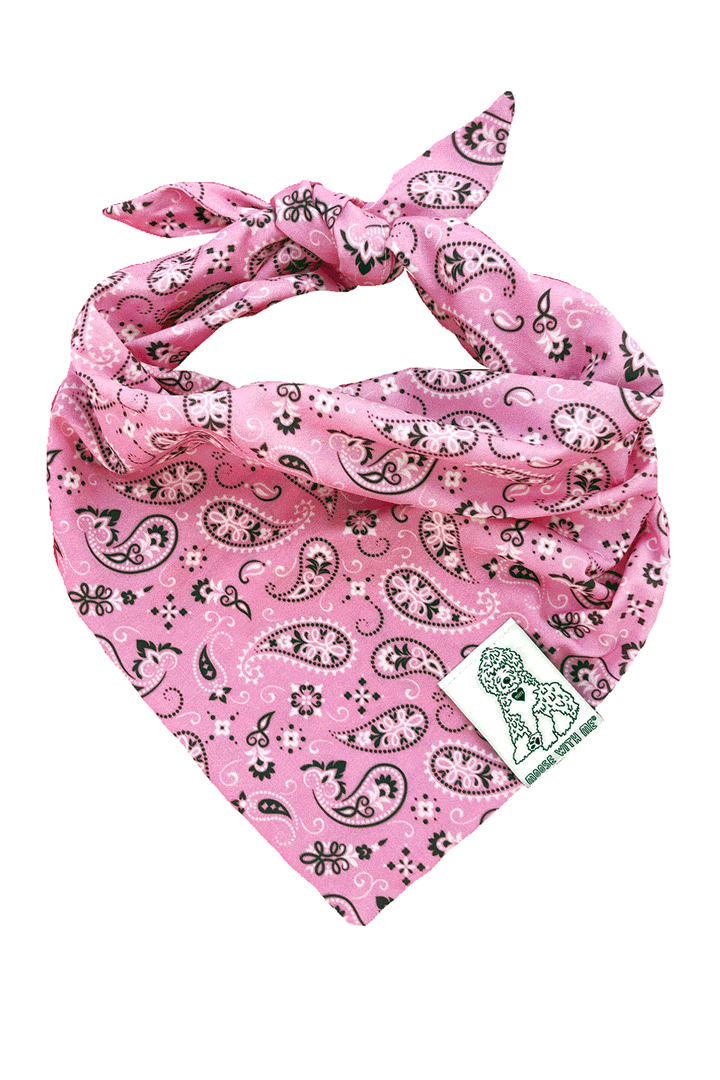 Dog Bandana Paisley - Pink - Customize by adding Interchangeable Velcro Embroidered Patches