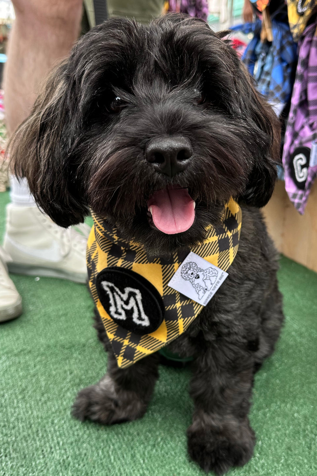 Dog Bandana Yellow Plaid - Customize by adding Interchangeable Velcro Embroidered Patches