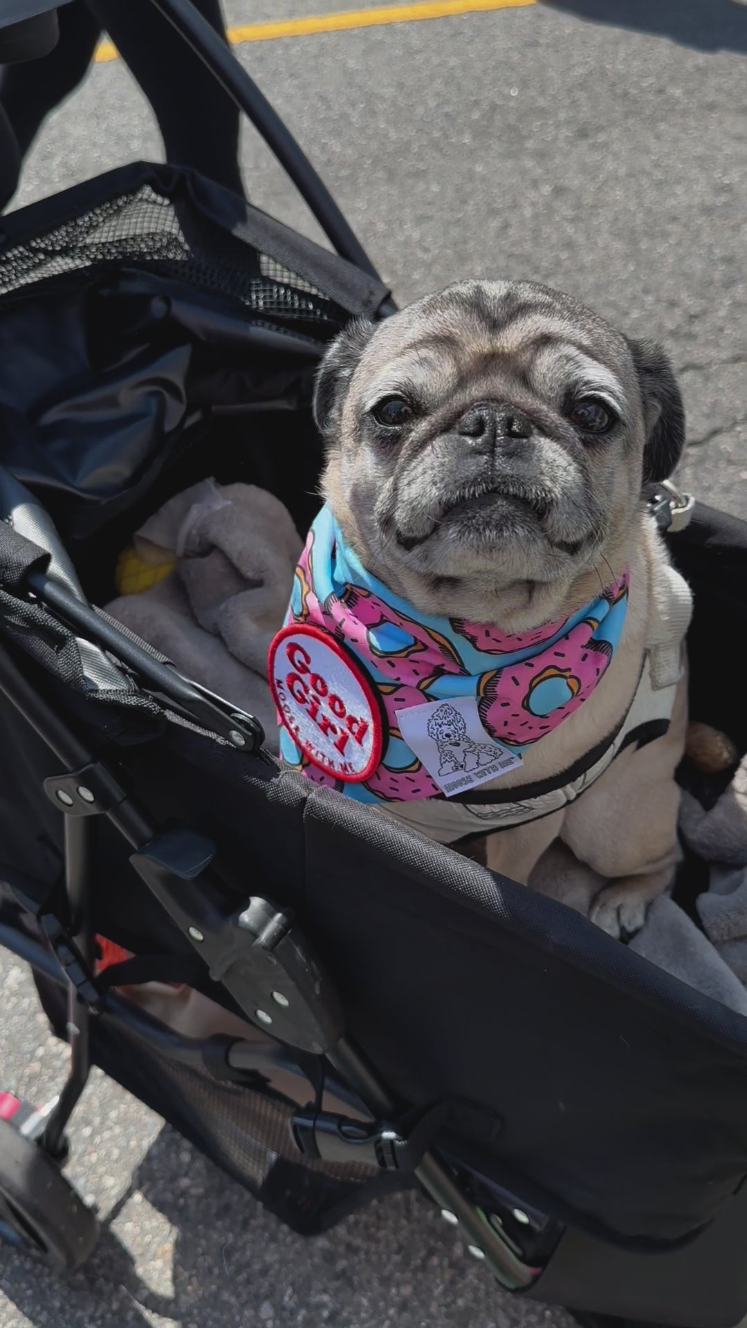 Dog Bandana Donut - Blue - Customize by adding Interchangeable Velcro Embroidered Patches