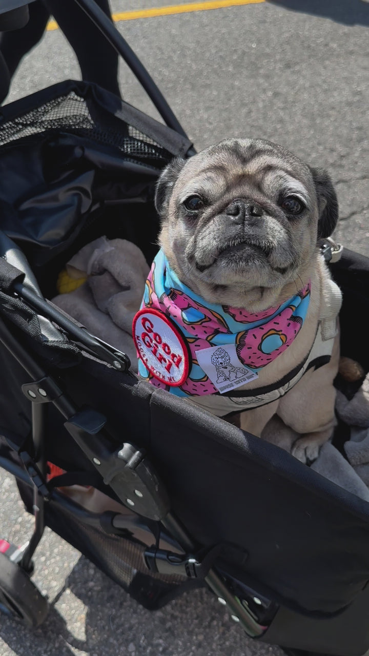 Dog Bandana Donut - Blue - Customize by adding Interchangeable Velcro Embroidered Patches
