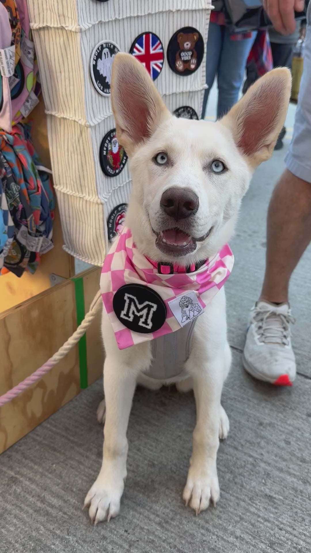 Dog Bandana Checkered Print - Pink - Customize by adding Interchangeable Velcro Embroidered Patches