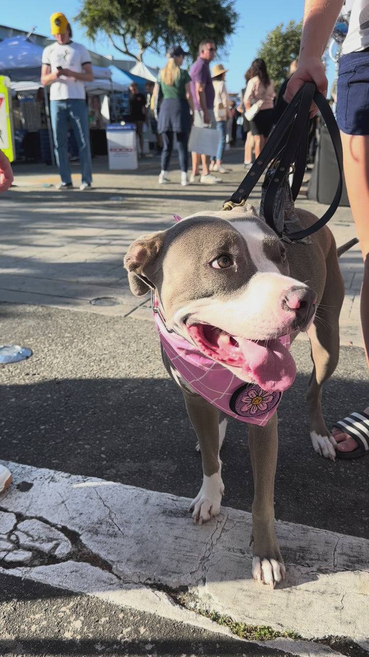 Dog Bandana Pink Large Plaid - Customize by adding Interchangeable Velcro Embroidered Patches