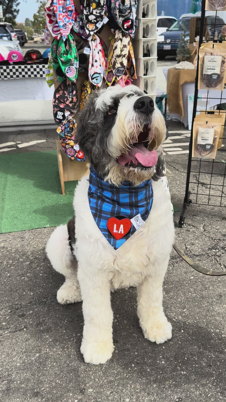 Dog Bandana Blue Plaid - Customize by adding Interchangeable Velcro Embroidered Patches