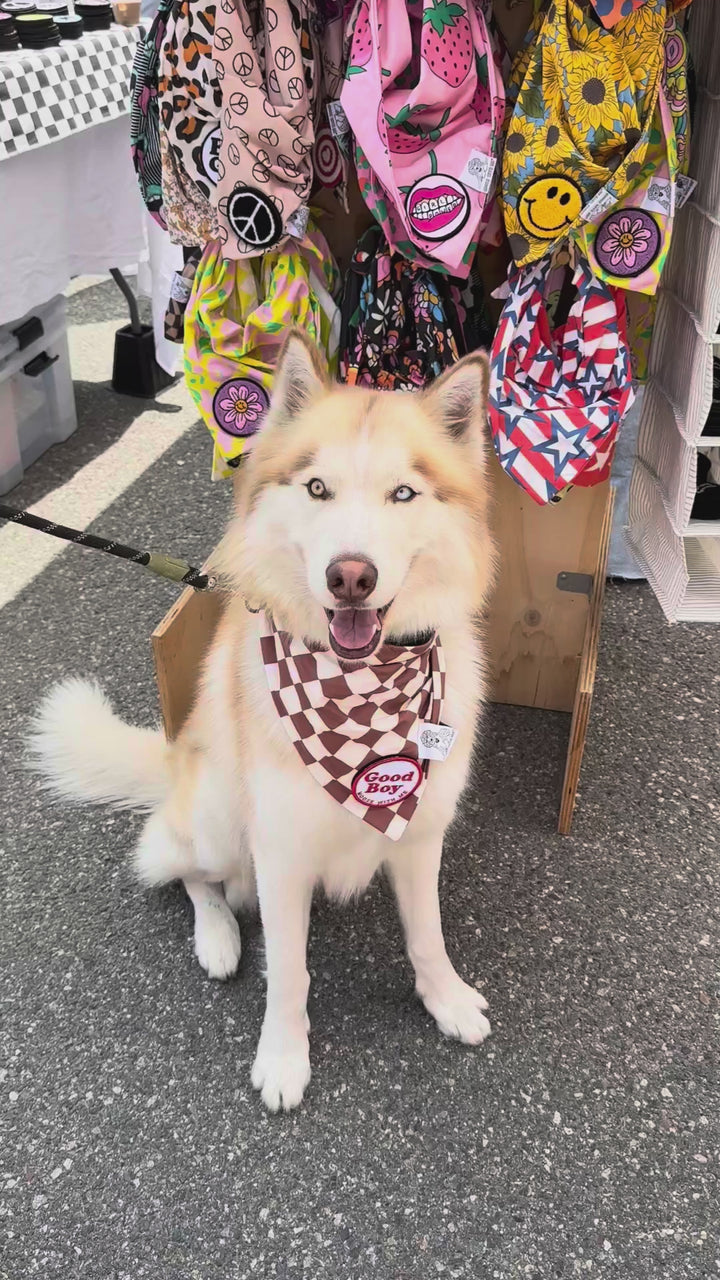 Dog Bandana Checkered Print - Brown - Customize by adding Interchangeable Velcro Embroidered Patches