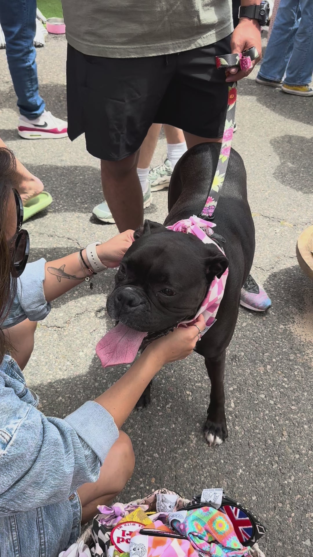 Dog Bandana Checkered Print - Pink - Customize by adding Interchangeable Velcro Embroidered Patches