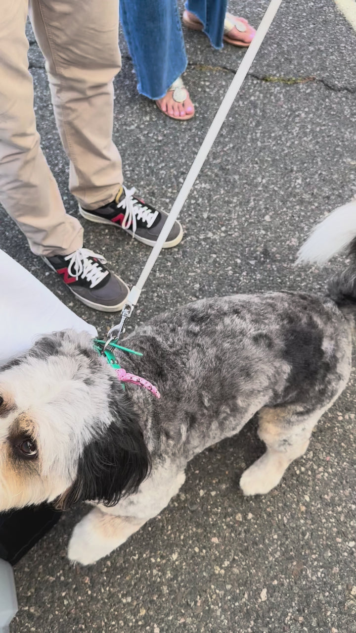 Dog Bandana Paisley - Pink - Customize by adding Interchangeable Velcro Embroidered Patches