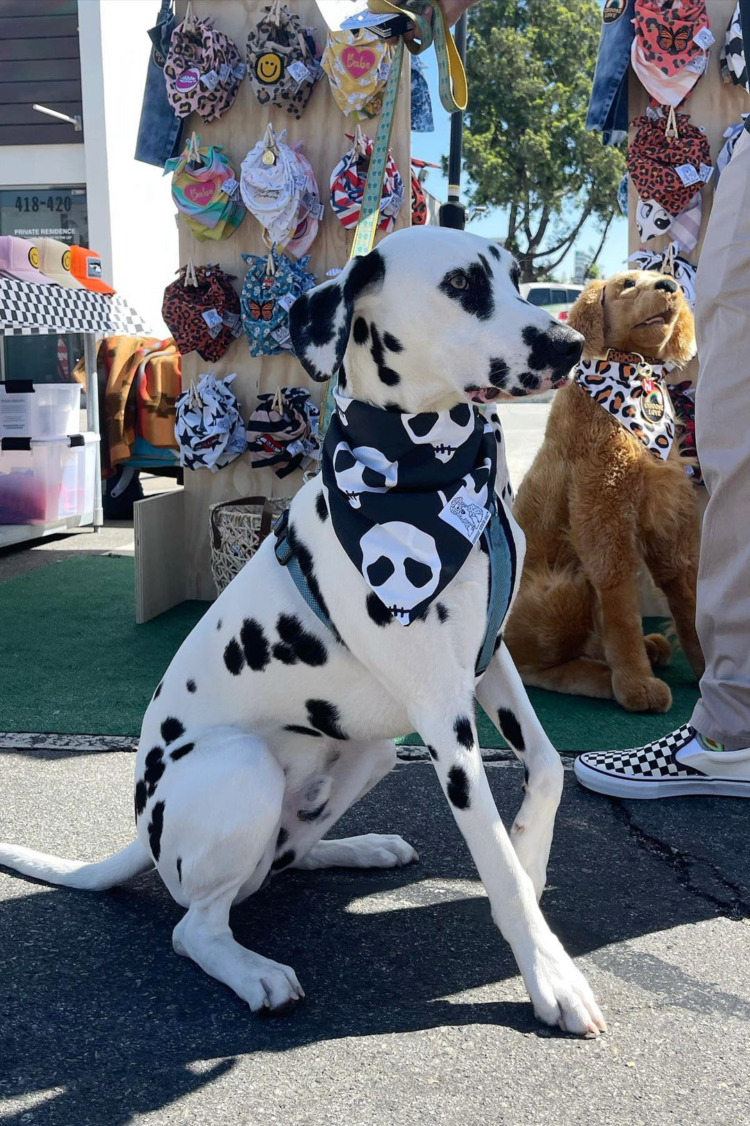Dog Bandana Skull - Black - Customize by adding Interchangeable Velcro Embroidered Patches