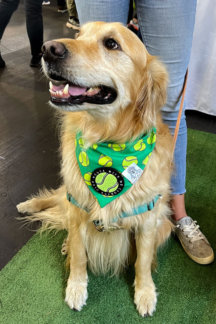 Dog Bandana Tennis Ball - Green - Customize by adding Interchangeable Velcro Embroidered Patches