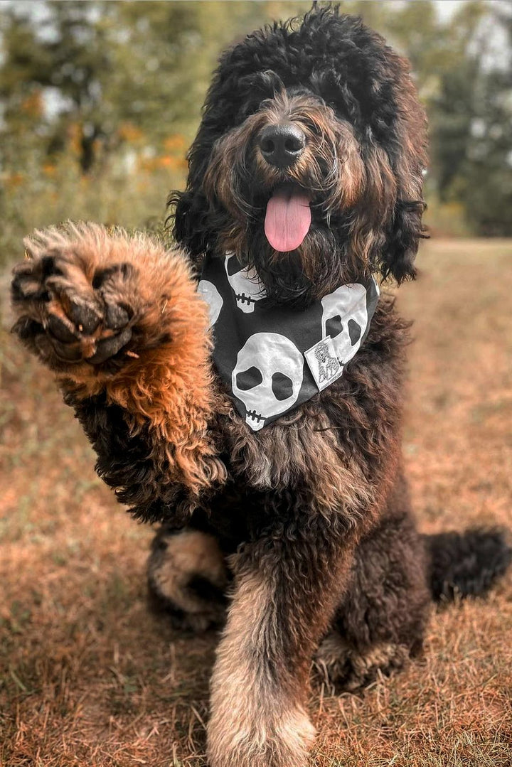 Dog Bandana Skull - Black - Customize by adding Interchangeable Velcro Embroidered Patches
