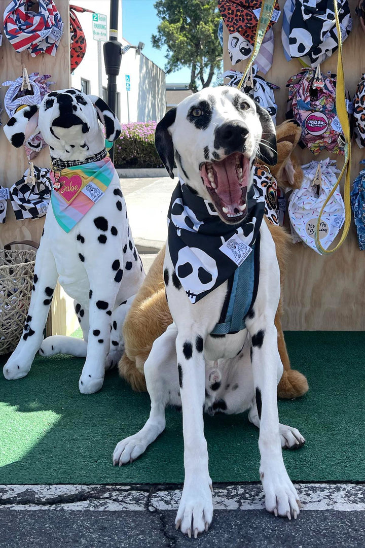 Dog Bandana Skull - Black - Customize by adding Interchangeable Velcro Embroidered Patches
