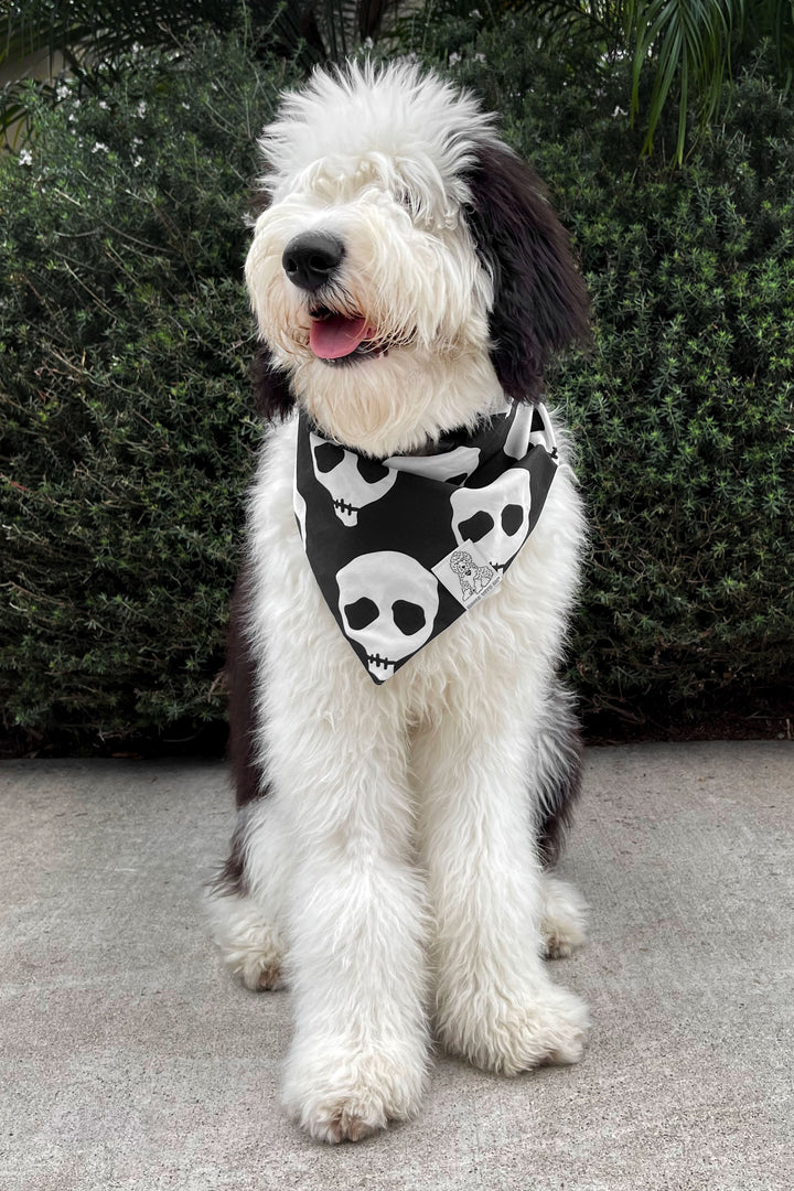 Dog Bandana Skull - Black - Customize by adding Interchangeable Velcro Embroidered Patches