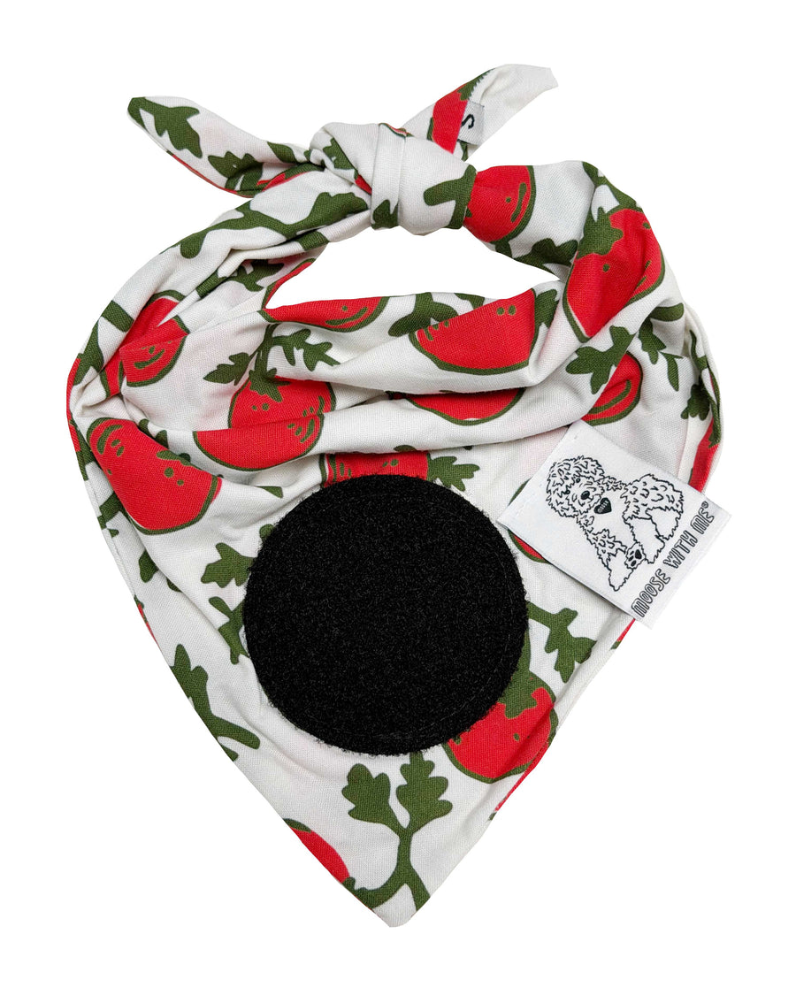 Dog Bandana Tomatoes - Red - Customize by adding Interchangeable Velcro Embroidered Patches