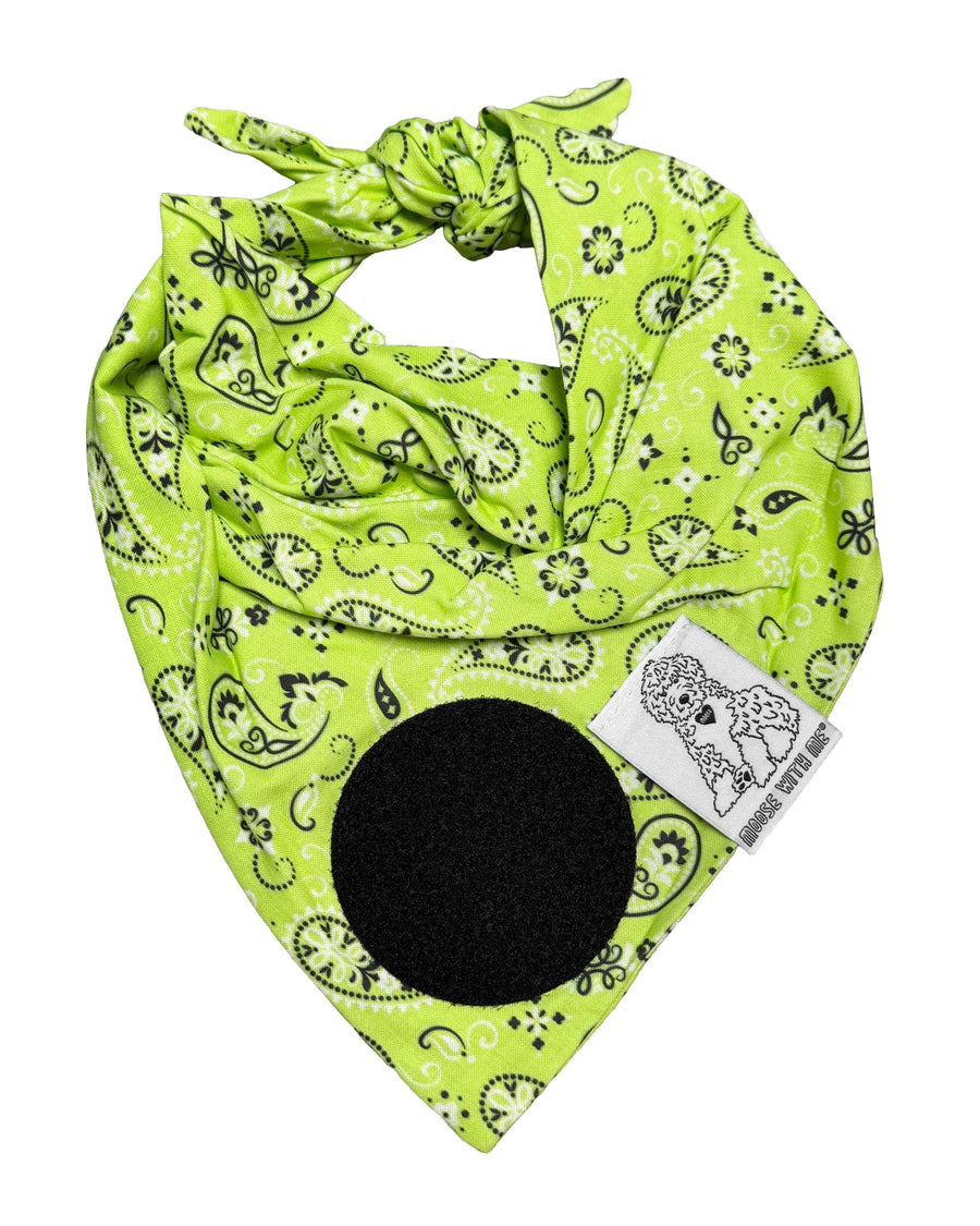 Dog Bandana Paisley - Citron - Customize by adding Interchangeable Velcro Embroidered Patches
