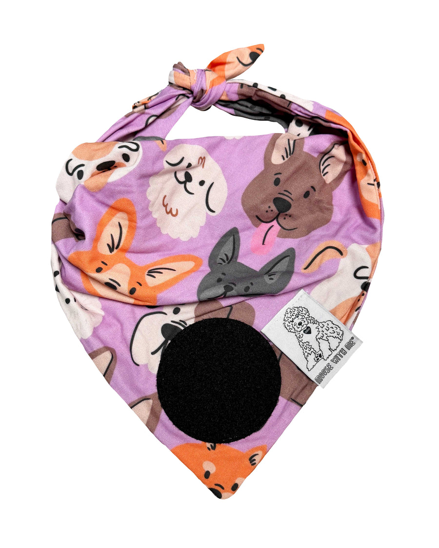 Dog Bandana Doggies - Purple - Customize by adding Interchangeable Velcro Embroidered Patches
