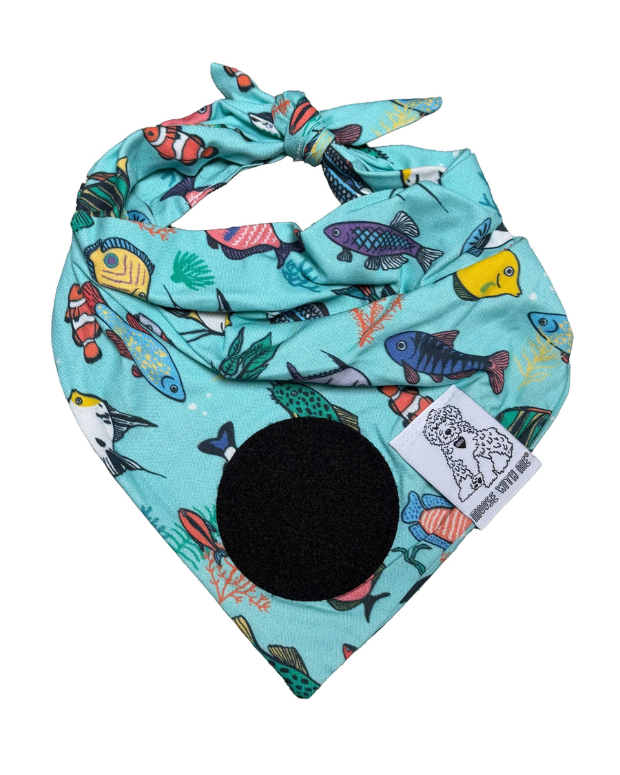 Dog Bandana Fish - Customize by adding Interchangeable Velcro Embroidered Patches