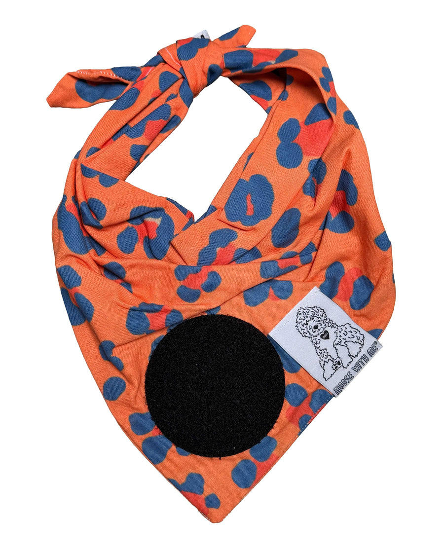 Dog Bandana Orange & Blue Leopard Print - Customize by adding Interchangeable Velcro Embroidered Patches