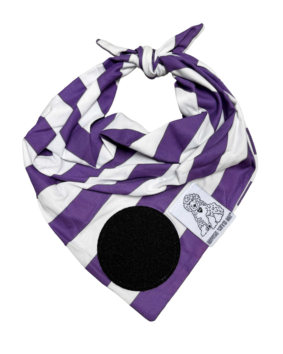 Dog Bandana Stripe - Purple - Customize by adding Interchangeable Velcro Embroidered Patches