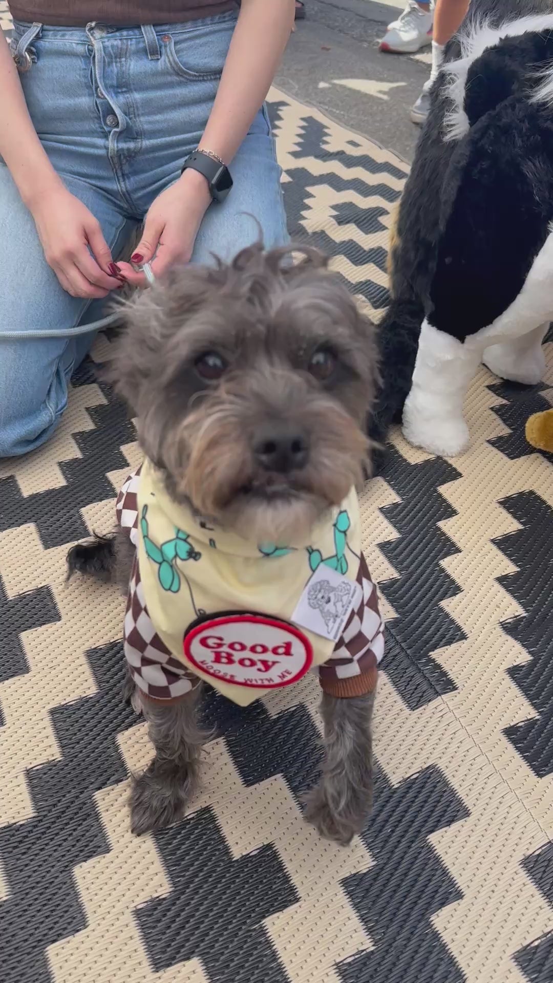 Dog Bandana Balloon Dog - Customize by adding Interchangeable Velcro Embroidered Patches