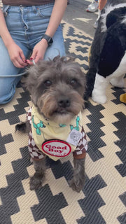 Dog Bandana Balloon Dog - Customize by adding Interchangeable Velcro Embroidered Patches