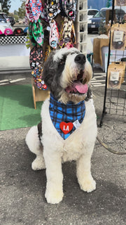 Dog Bandana Blue Plaid - Customize by adding Interchangeable Velcro Embroidered Patches