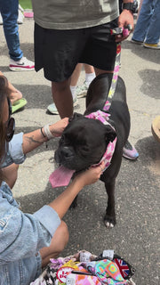 Dog Bandana Checkered Print - Pink - Customize by adding Interchangeable Velcro Embroidered Patches