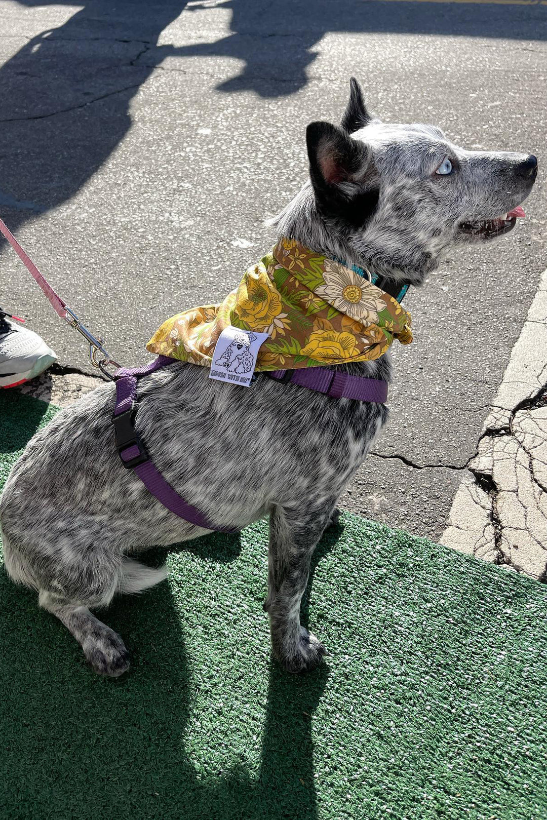 Dog Bandana 60's Floral - Brown - Customize by adding Interchangeable Velcro Embroidered Patches