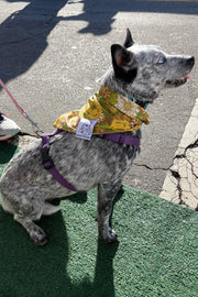 Dog Bandana 60's Floral - Brown - Customize by adding Interchangeable Velcro Embroidered Patches