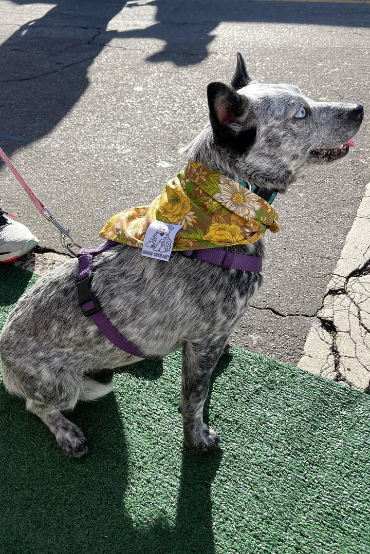 Dog Bandana 60's Floral - Brown - Customize by adding Interchangeable Velcro Embroidered Patches