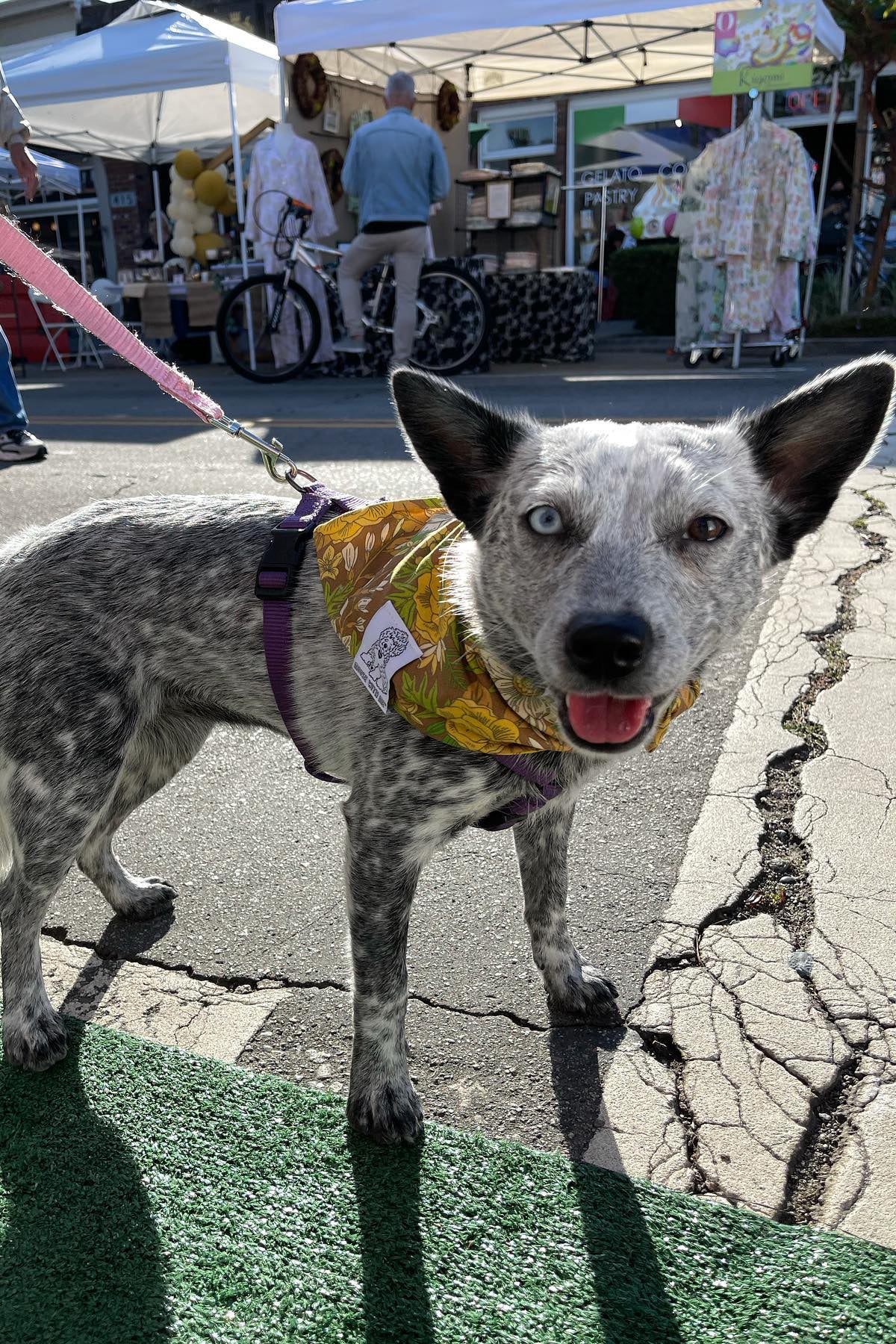Dog Bandana 60's Floral - Brown - Customize by adding Interchangeable Velcro Embroidered Patches
