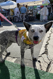 Dog Bandana 60's Floral - Brown - Customize by adding Interchangeable Velcro Embroidered Patches
