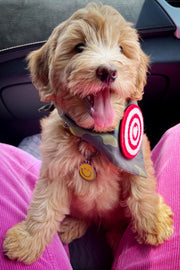 Dog Bandana Camouflage - Green - Customize by adding Interchangeable Velcro Embroidered Patches