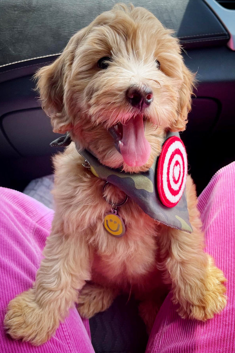 Dog Bandana Camouflage - Green - Customize by adding Interchangeable Velcro Embroidered Patches