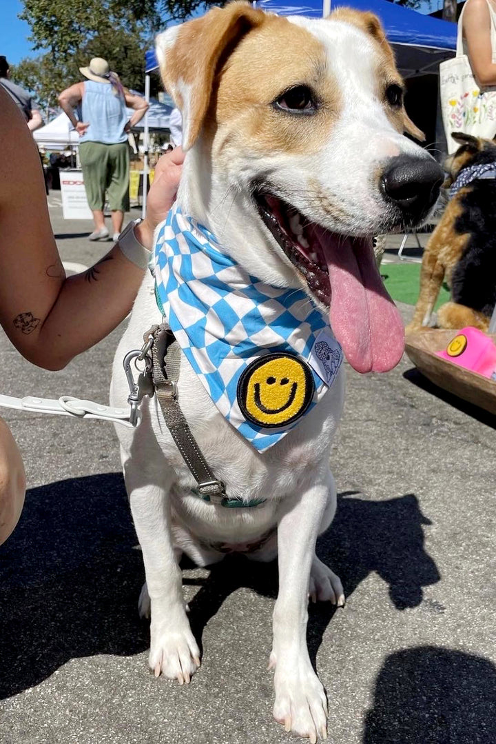 Dog Bandana Checkered Swirl - Blue - Customize by adding Interchangeable Velcro Embroidered Patches