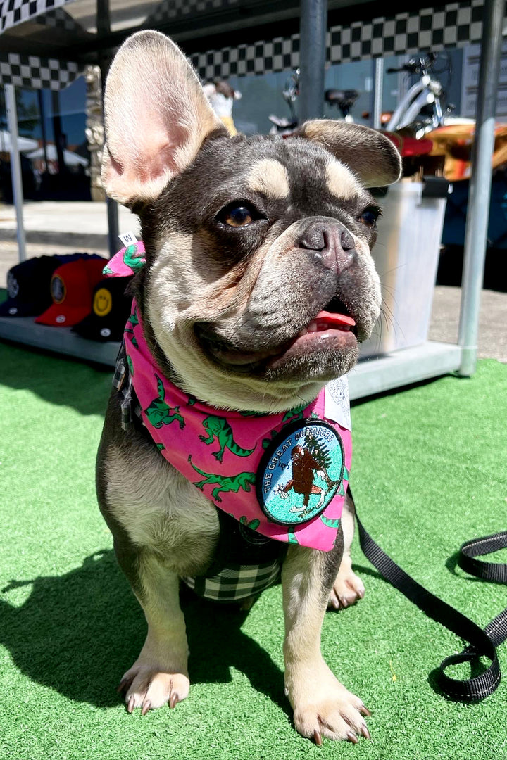 Dog Bandana Dinosaur - Pink - Customize by adding Interchangeable Velcro Embroidered Patches