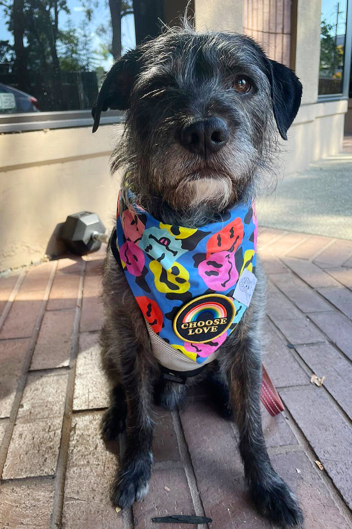 Dog Bandana Groovy Smiley Face - Blue - Customize by adding Interchangeable Velcro Embroidered Patches