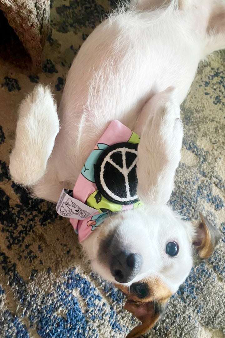 Dog Bandana Alien and Smiley Face - Purple - Customize by adding Interchangeable Velcro Embroidered Patches