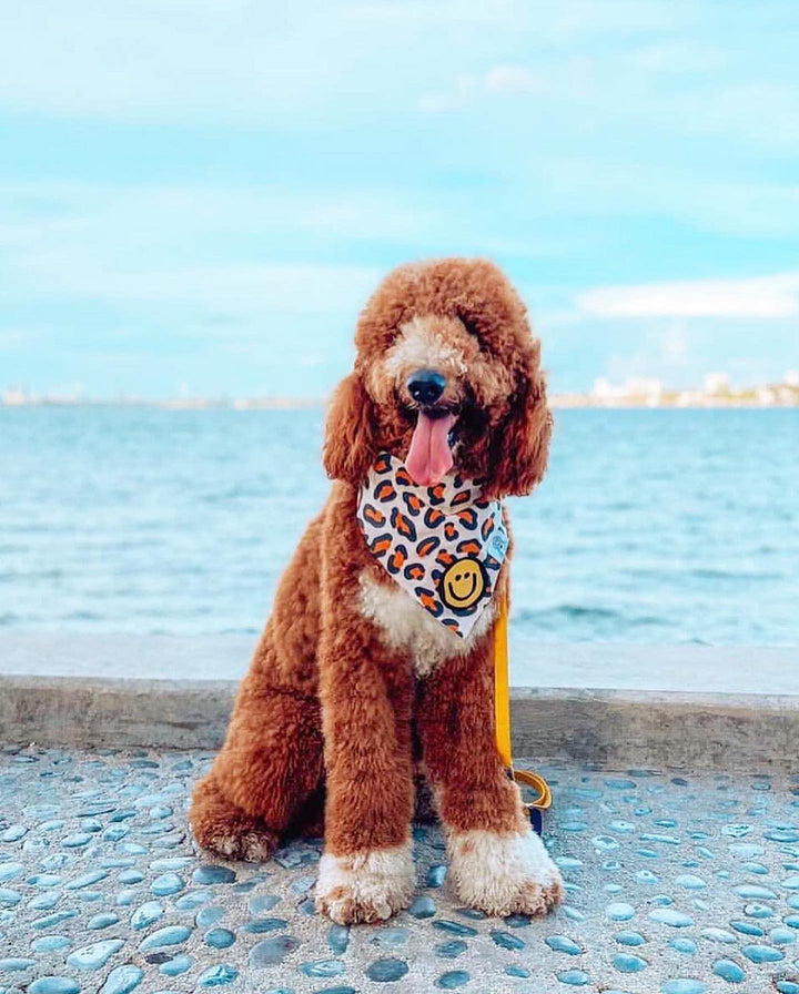 Dog Bandana Leopard Print - Cream - Customize by adding Interchangeable Velcro Embroidered Patches