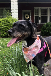 Dog Bandana Groovy Floral - Pink - Customize by adding Interchangeable Velcro Embroidered Patches