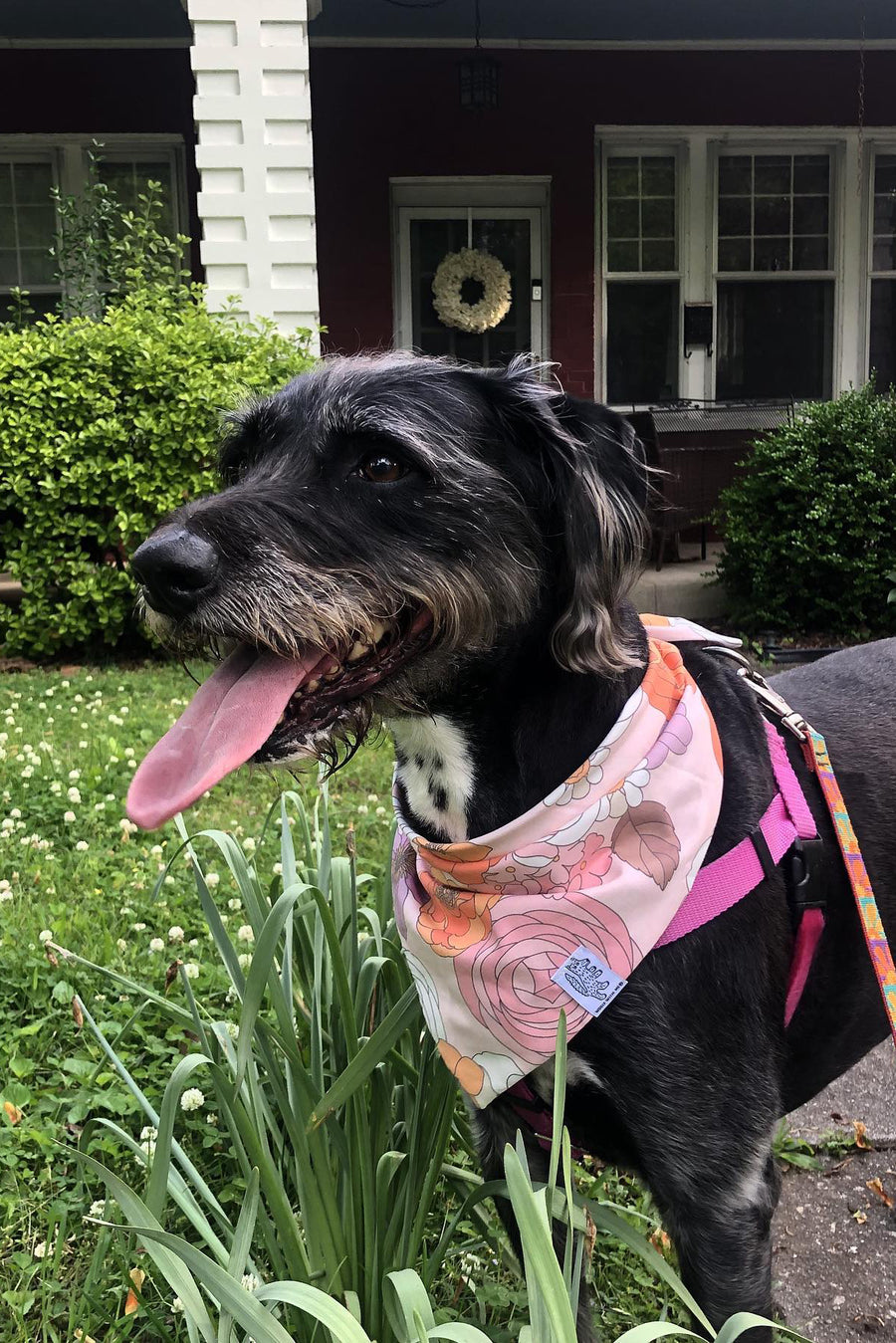 Dog Bandana Groovy Floral - Pink - Customize by adding Interchangeable Velcro Embroidered Patches