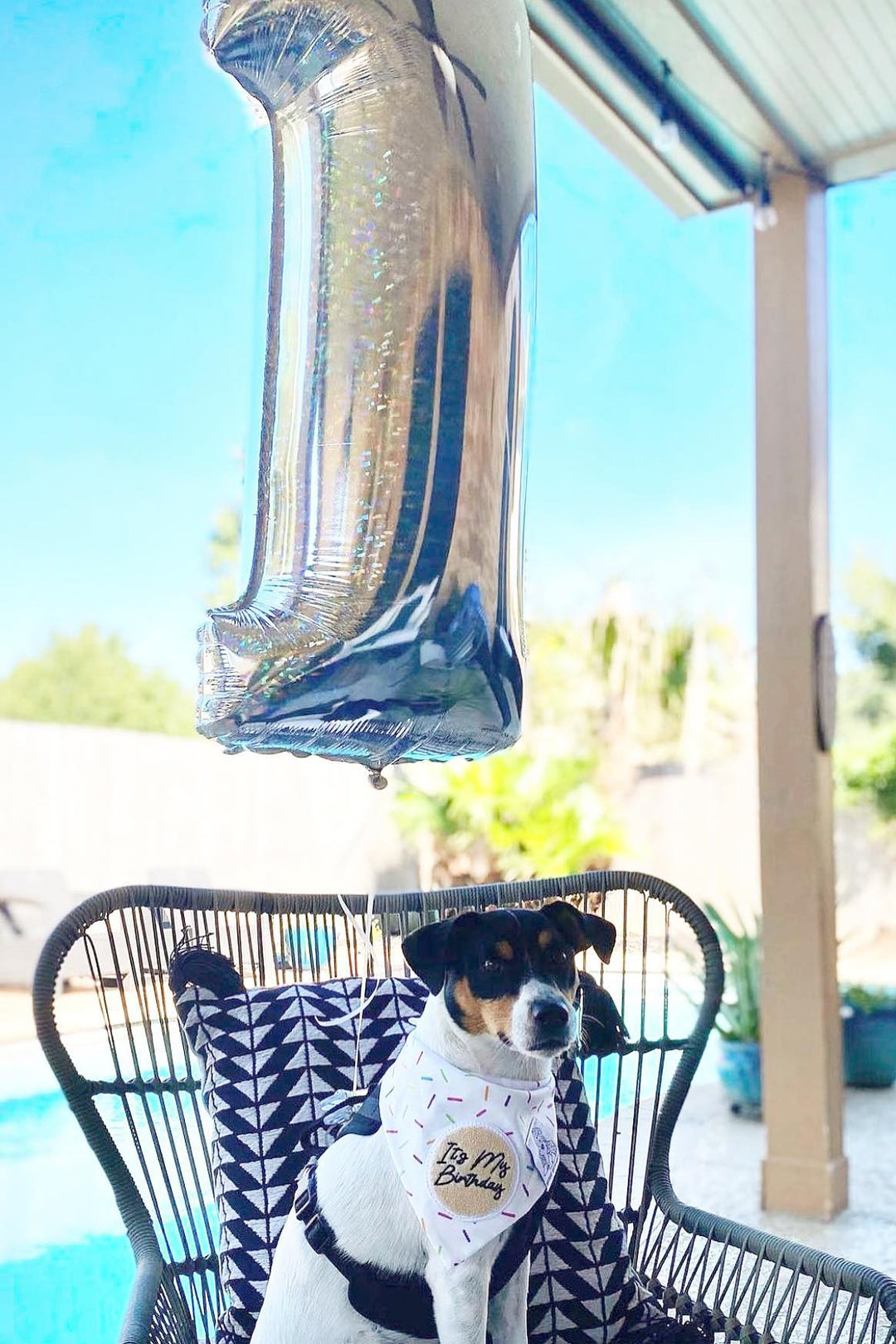 Dog Bandana Sprinkles - White - Customize by adding Interchangeable Velcro Embroidered Patches