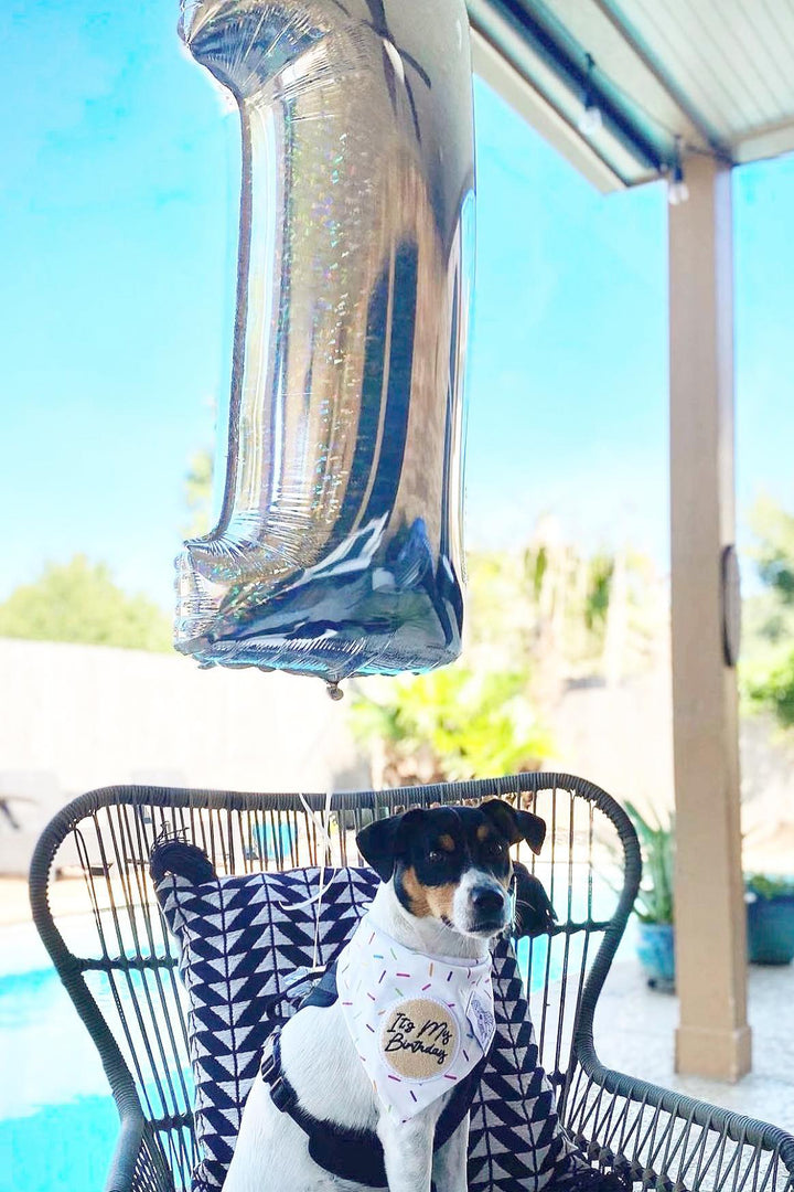 Dog Bandana Sprinkles - White - Customize by adding Interchangeable Velcro Embroidered Patches