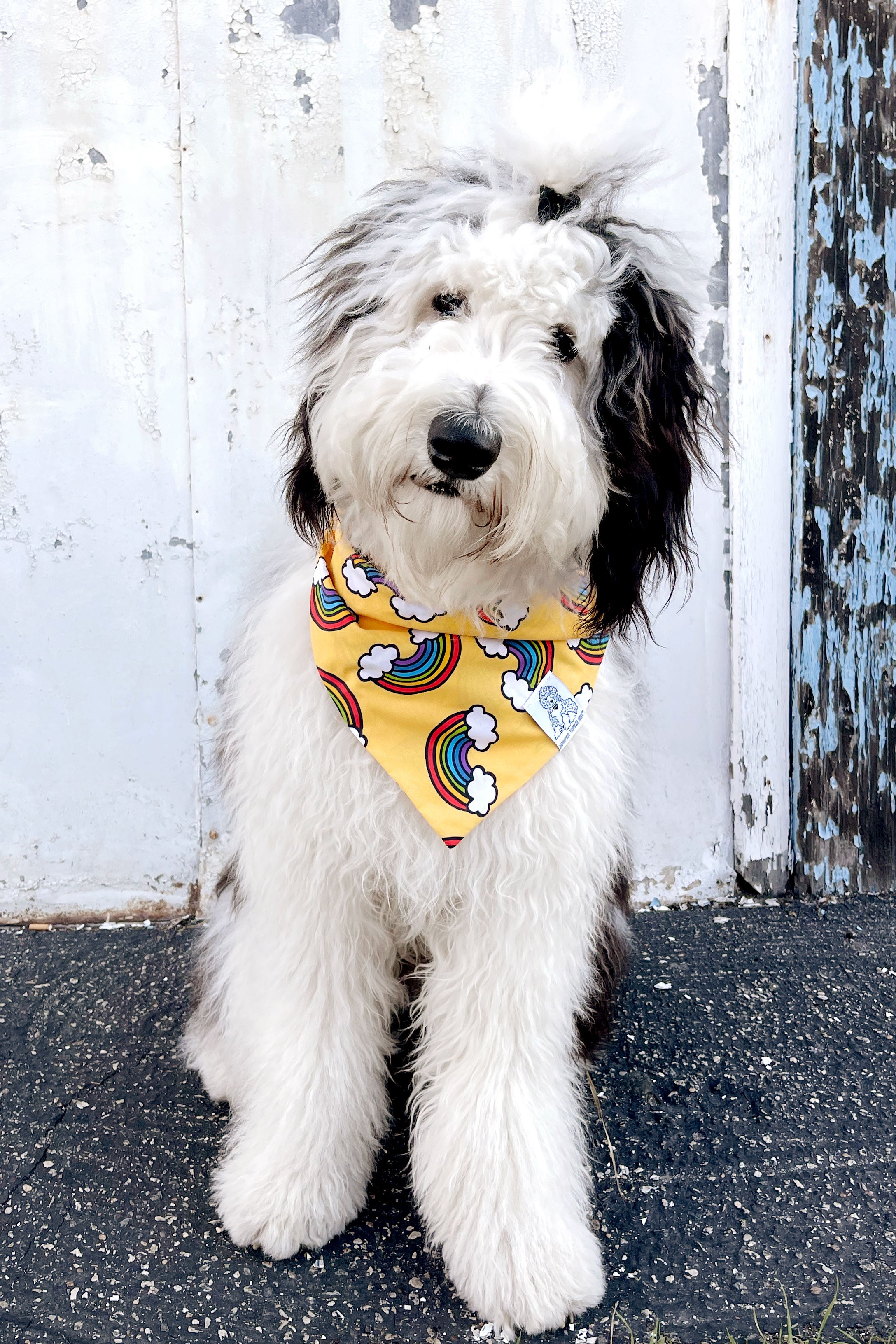 Dog Bandana Rainbow- Yellow - Customize by adding Interchangeable Velcro Embroidered Patches
