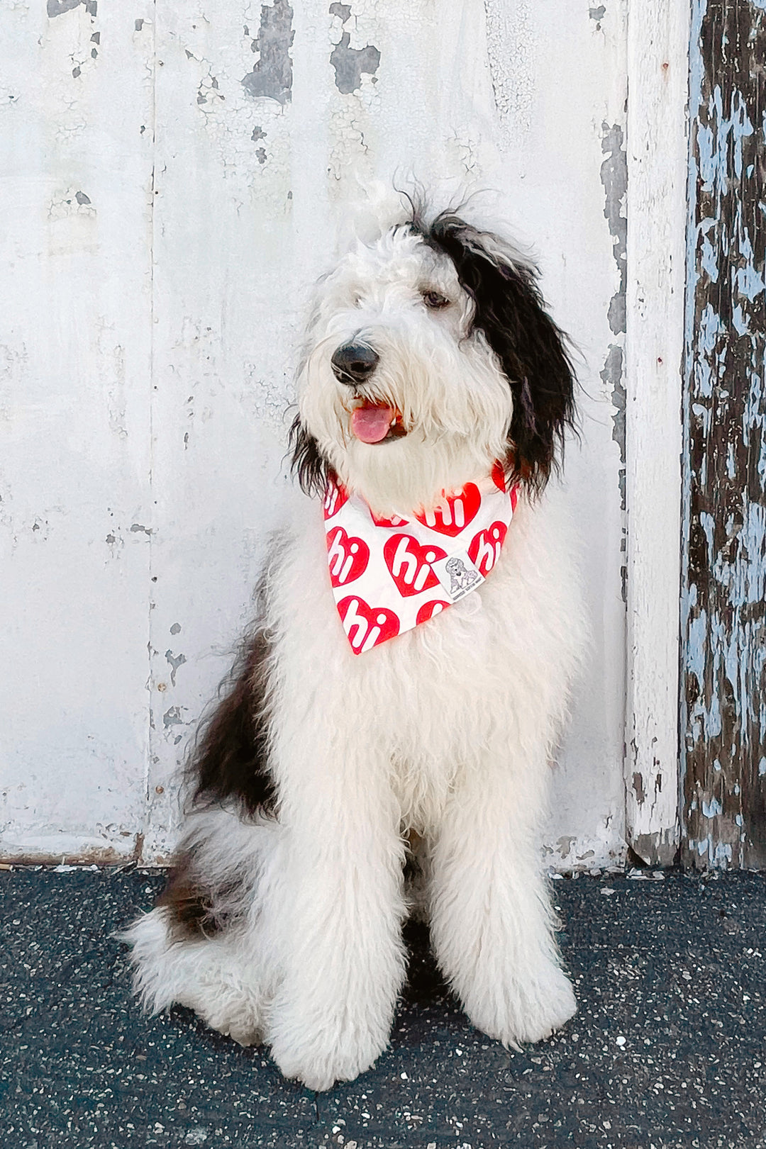 Dog Bandana Hi Hearts - Red - Customize by adding Interchangeable Velcro Embroidered Patches
