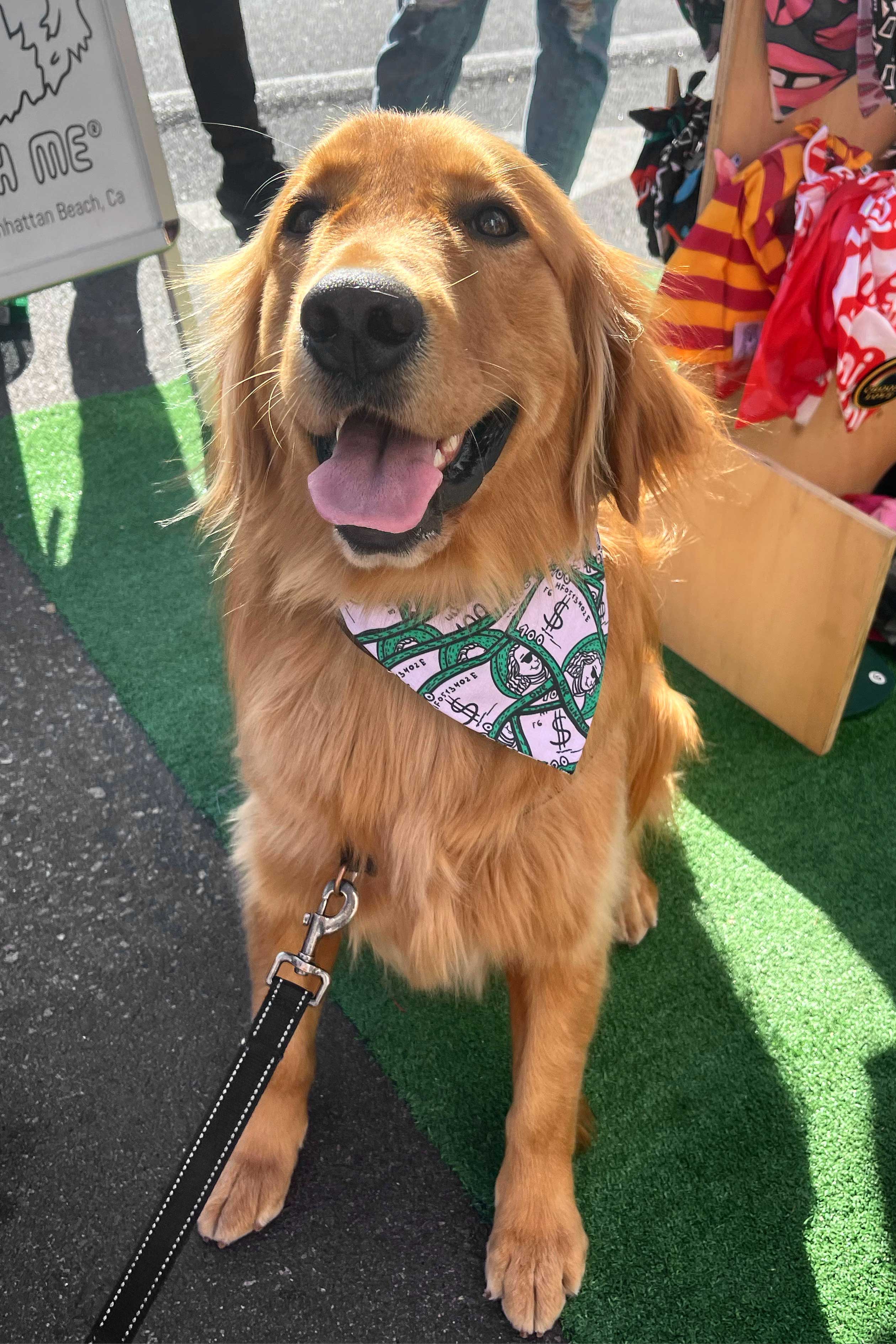 Dog Bandana 100 Dollar Bills - Green - Customize by adding Interchangeable Velcro Embroidered Patches