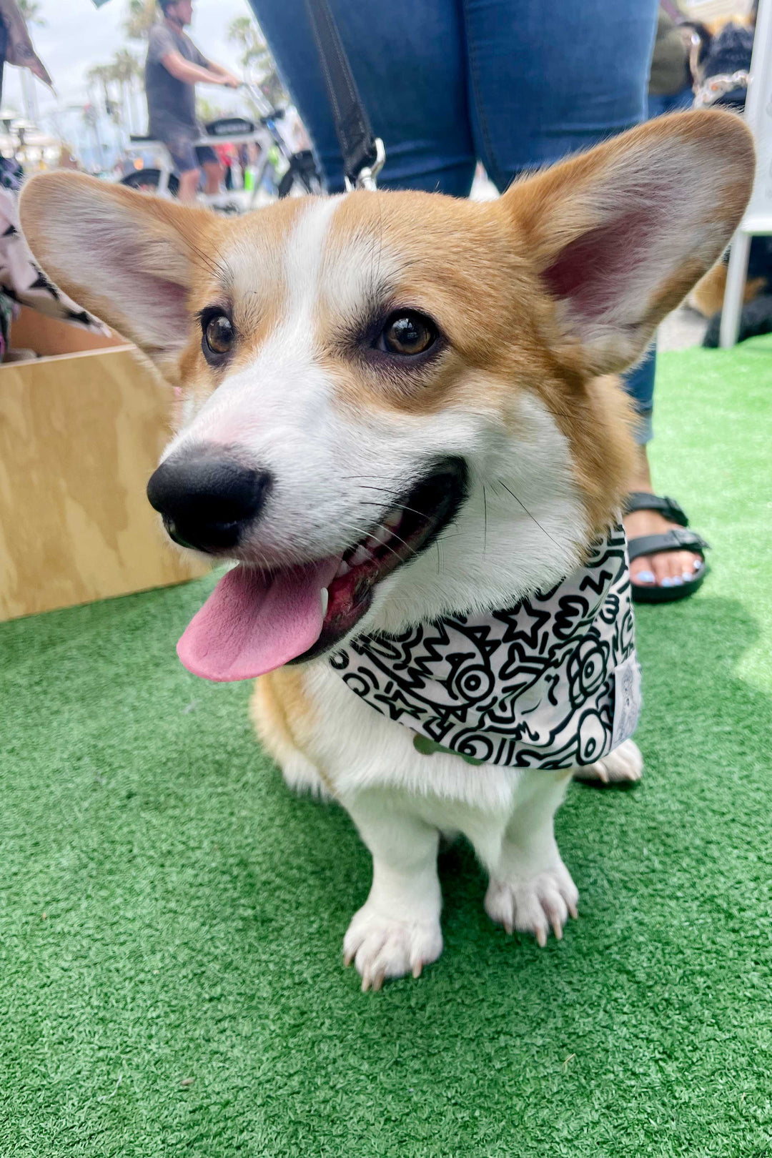 Dog Bandana Alien Line Art - Cream - Customize by adding Interchangeable Velcro Embroidered Patches