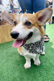 Dog Bandana Alien Line Art - Cream - Customize by adding Interchangeable Velcro Embroidered Patches