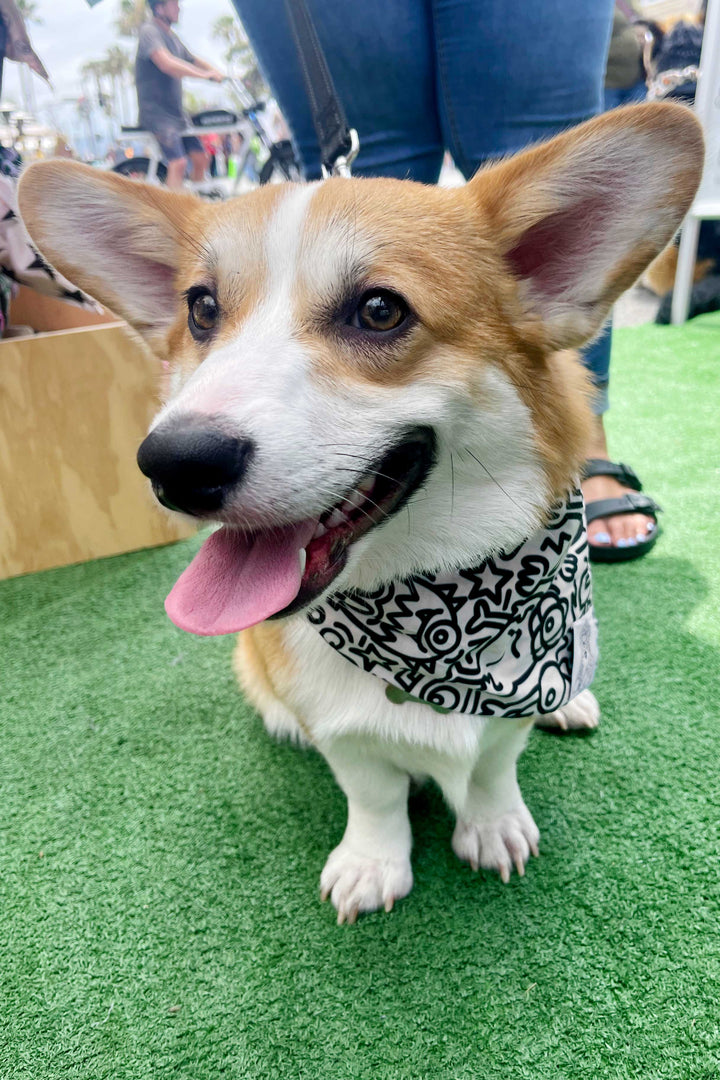 Dog Bandana Alien Line Art - Cream - Customize by adding Interchangeable Velcro Embroidered Patches