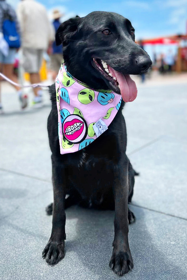 Dog Bandana Alien and Smiley Face - Purple - Customize by adding Interchangeable Velcro Embroidered Patches