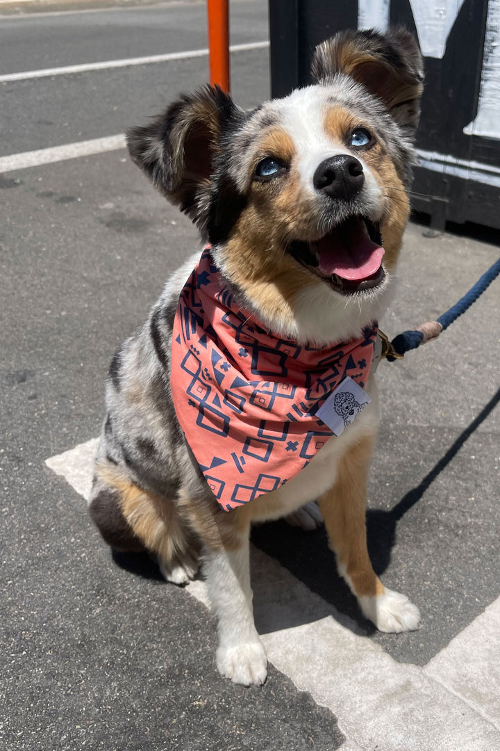Dog Bandana Aztec - Peach - Customize by adding Interchangeable Velcro Embroidered Patches